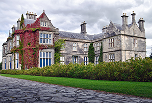 為了商務(wù)出行更方便，張先生在廣州澳星辦理愛爾蘭投資移民