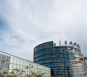 ANNA的每日故事匯——香港定居完美收關(guān)！