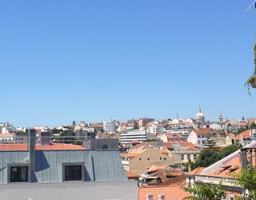 恭喜L總成功獲批土耳其身份，跳板美國