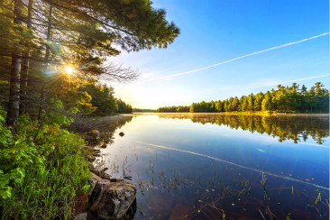 搶在超齡前！孩子順利入讀澳洲學(xué)校